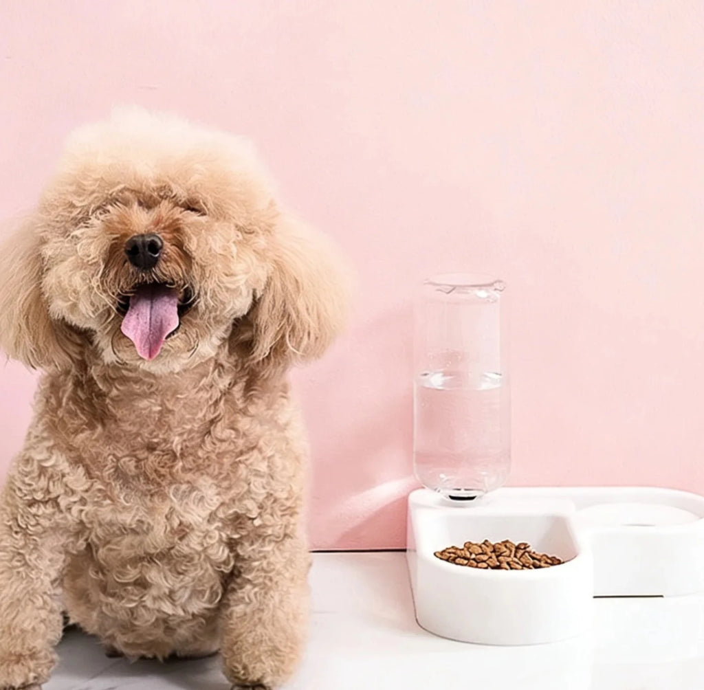 Automatic Pet Food & Water Bowl Set