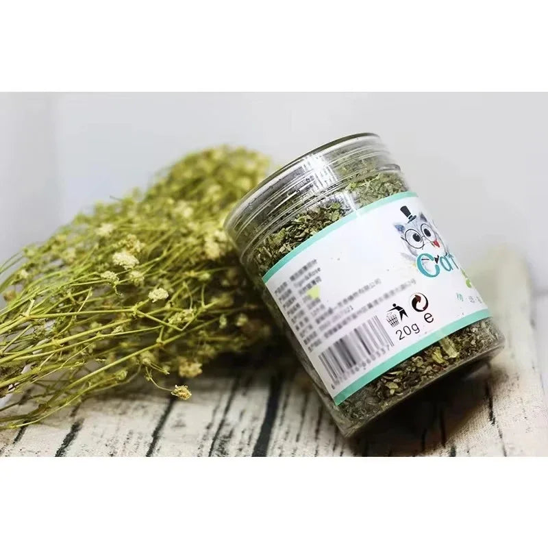 Natural Catnip Grass Toy Jar for Cats