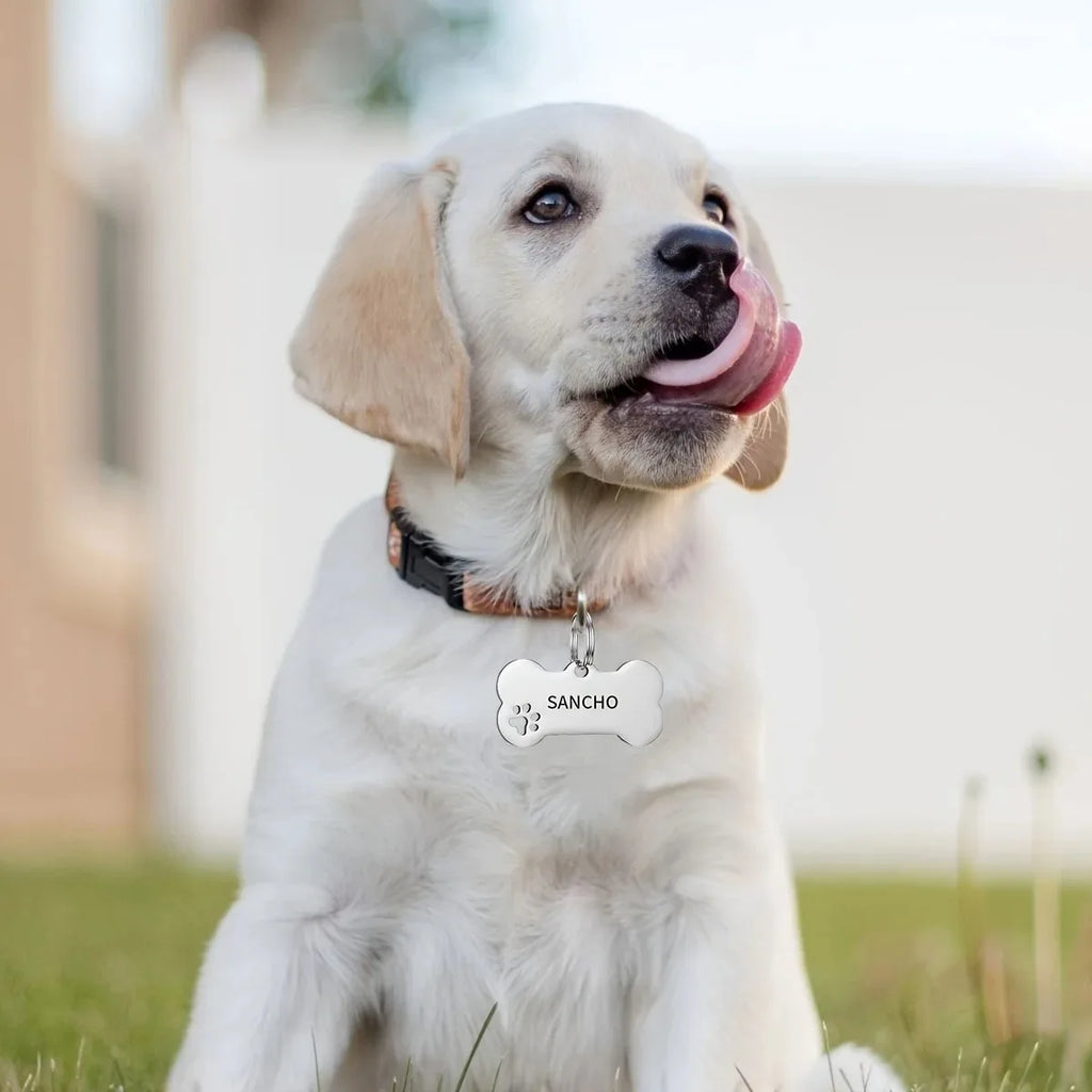 Personalized Pet ID Tag
