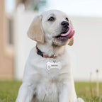 Personalized Pet ID Tag