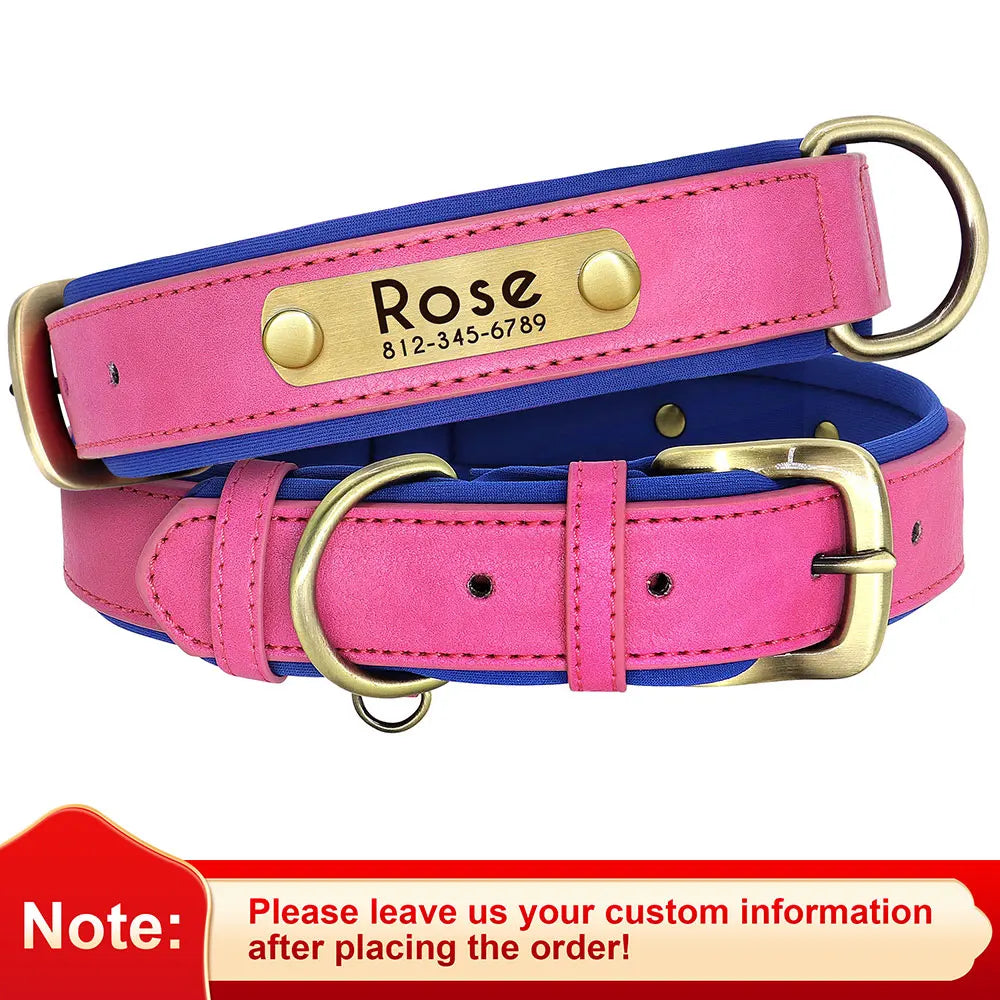 Personalized Engraved Dog Collar