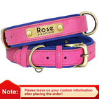 Personalized Engraved Dog Collar