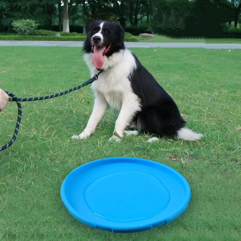 Soft Silicone Flying Disc Dog Toy