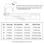 Personalized Engraved Dog Collar