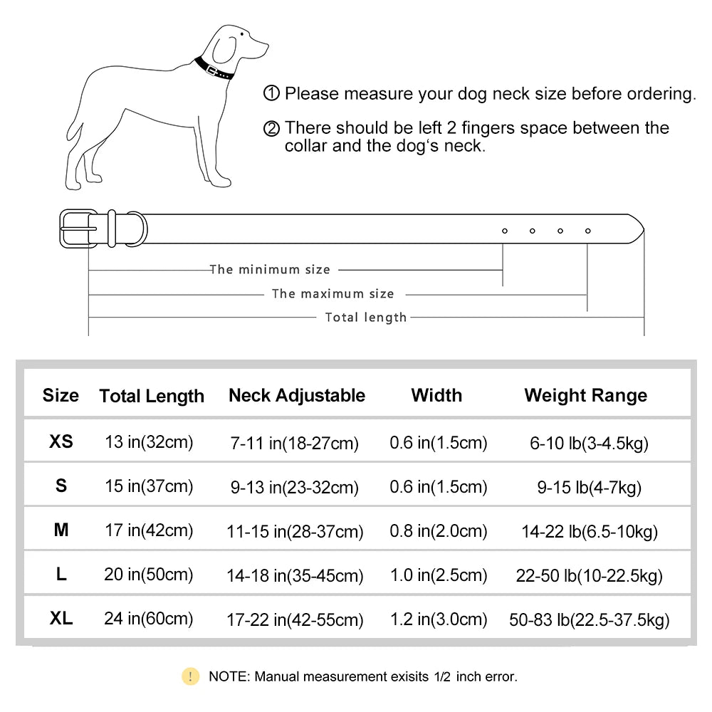 Personalized Engraved Dog Collar