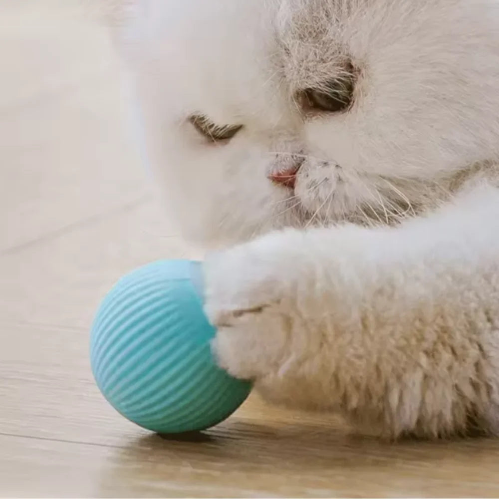 Smart Rolling Cat Ball Toy