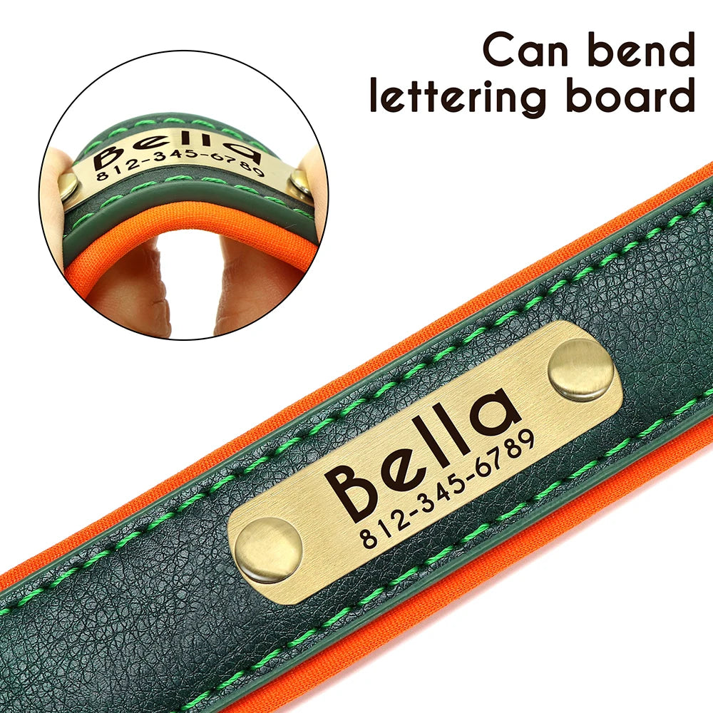 Personalized Engraved Dog Collar
