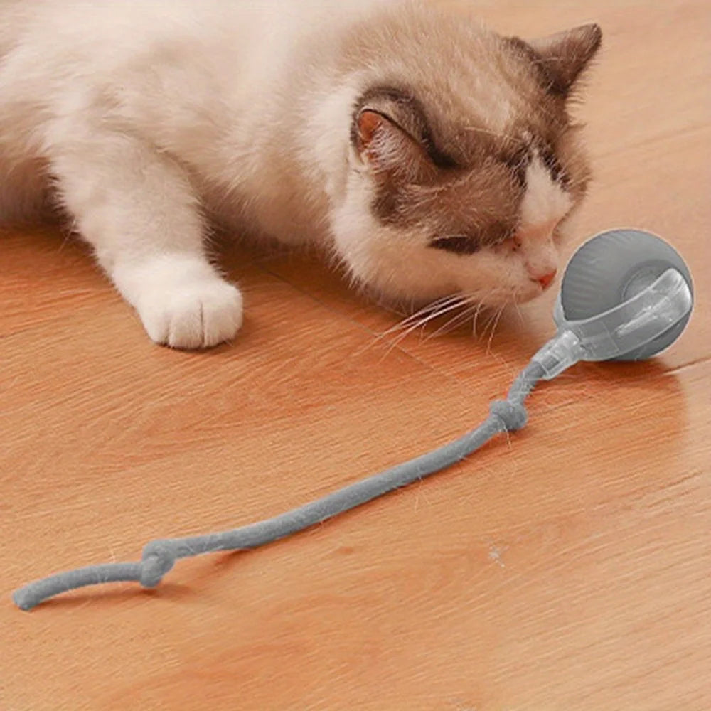 Rechargeable Interactive Cat Ball Toy