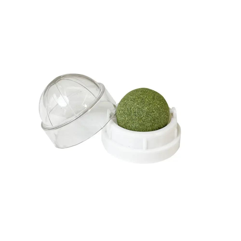 Catnip Wall Ball Cat Toy