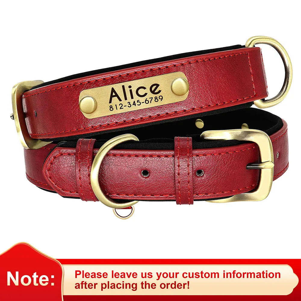 Personalized Engraved Dog Collar