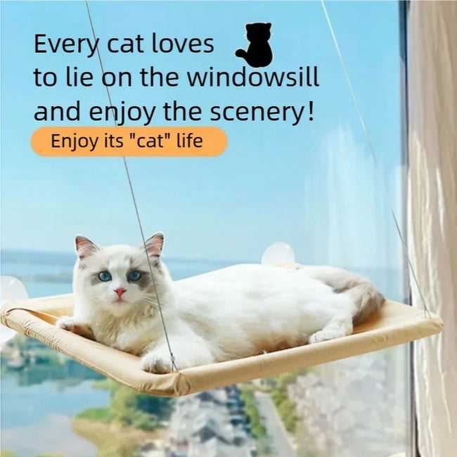 Window Cat Hammock Bed Main Image