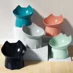 Whisker-Friendly Elevated Cat Bowl